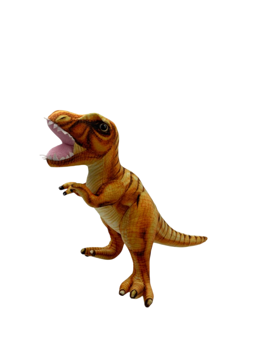 IMG-20250624-WA0065-Photoroom