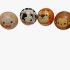 Pelotas Estampadas de Animales
